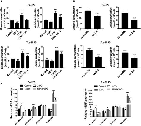 lv y et al 2012 ezh2|ezh2 overexpression.